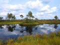 Beautiful small lake in Aukstumalos swamp, Lithuania Royalty Free Stock Photo