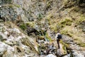 Beautiful small mountain waterfall in forest