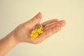 Small original yellow flower kept in the hand of a child on a light background