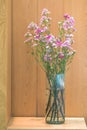 Beautiful small pink flowers in tall vases glass decorated on wooden table interior for office building or home and living Royalty Free Stock Photo