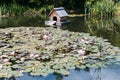 A beautiful small pond with blooming lilies and a birdhouse. Water lilies on the pond. Natural landscape for your design. Royalty Free Stock Photo