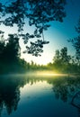 A beautiful small pond in the forest. Summertime scenery with water. Royalty Free Stock Photo