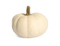 Beautiful small ripe pumpkin isolated