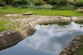 Beautiful small small pond stone natural homemade in nature. Landscaping with artificial pond