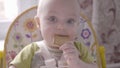 Beautiful small toddler boy at the table take a cookie in his hand, eating it and watching into the camera close up view Royalty Free Stock Photo