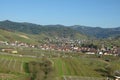 Beautiful small town in a valley sourrounded by vineyards in the Black forest, Germany