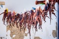 Beautiful small village at Kalafati beach with octopus drying in the sun, Mykonos island. Royalty Free Stock Photo