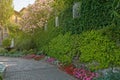 Beautiful small walkway with green leaves wall and colorful flowers along the walkway at Varenna. Royalty Free Stock Photo