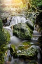 Beautiful small waterfall. Royalty Free Stock Photo