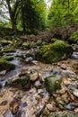 Beautiful small waterfall full of small and big rocks and stones with trees around next to mountain trail in Giant mountains Royalty Free Stock Photo