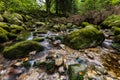 Beautiful small waterfall full of small and big rocks and stones with trees around next to mountain trail in Giant mountains Royalty Free Stock Photo