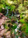 Beautiful small waterfall in the forest