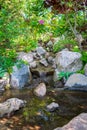 Beautiful small waterfall in a japanese style garden Royalty Free Stock Photo