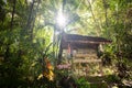 Beautiful small waterfall in rain forest at  Mae-Kam-Pong , Chiang Mai,Thailand Royalty Free Stock Photo