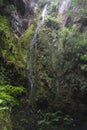 Beautiful small waterfall with silk effect in middle of colombian andean forest Royalty Free Stock Photo