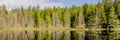 Beautiful small White lake surraunded by tall forest in british columbia Canada Royalty Free Stock Photo