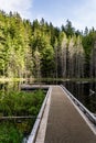 Beautiful small White lake surraunded by tall forest in british columbia Canada Royalty Free Stock Photo