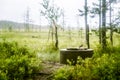 A beautiful small wooden building in the middle of Finnish forest Royalty Free Stock Photo