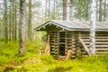 A beautiful small wooden building in the middle of Finnish forest Royalty Free Stock Photo