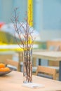 Beautiful small yellow flowers in tall vases glass decorated on wooden table interior for office building or home and living Royalty Free Stock Photo