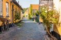 Beautiful, small, yellow rustic houses. Traditional Scandinavian style. Royalty Free Stock Photo