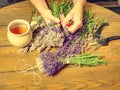 Beautiful smell violet wild Lavender bouquet in the hand, scissors Royalty Free Stock Photo