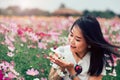 Beautiful smile asian woman in the cosmos field.Vintage Style Royalty Free Stock Photo