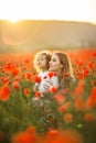 Beautiful smiling baby girl with mother are having fun in field of red poppy flowers over sunset lights, spring time Royalty Free Stock Photo