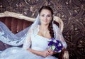 Beautiful smiling bride Royalty Free Stock Photo