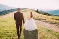 Beautiful smiling bride and groom walking back on meadow with mountain background Royalty Free Stock Photo