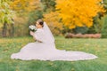 Beautiful smiling bride sitting on grass in park and holding bouquet. Yellow trees at background Royalty Free Stock Photo