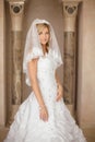 Beautiful smiling bride woman in wedding dress and bridal veil p Royalty Free Stock Photo