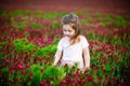 Beautiful smiling child girl in pink dress on field of red clover in sunset time Royalty Free Stock Photo