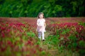 Beautiful smiling child girl in pink dress on field of red clover in sunset time Royalty Free Stock Photo