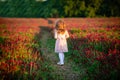 Beautiful smiling child girl in pink dress on field of red clover in sunset time Royalty Free Stock Photo