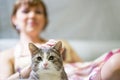 Beautiful smiling girl and cat Royalty Free Stock Photo