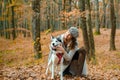 Beautiful smiling girl petting her husky dog. Woman with her dog chose a great place to stroll, because the paints of