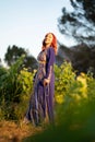 Beautiful smiling red-haired lady with a traditional blue dress decorated with goldwork in a field