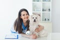 Beautiful smiling veterinarian doctor and cute white dog Royalty Free Stock Photo