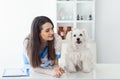 Beautiful smiling veterinarian doctor and cute white dog