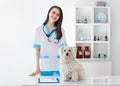 Beautiful smiling veterinarian doctor and cute white dog in vet Royalty Free Stock Photo