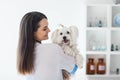 Beautiful smiling veterinarian doctor holding cute white dog Royalty Free Stock Photo