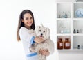 Beautiful smiling veterinarian doctor holding cute white dog Royalty Free Stock Photo