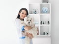 Beautiful smiling veterinarian doctor holding cute white dog Royalty Free Stock Photo