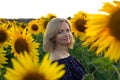 Beautiful smiling woman in the field with sunflowers Royalty Free Stock Photo