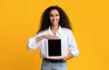 Beautiful Smiling Woman Holding Digital Tablet With Black Blank Screen Royalty Free Stock Photo