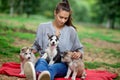 A beautiful smiling woman with a ponytail and wearing a striped shirt is holding three sweet husky puppies on the lawn Royalty Free Stock Photo