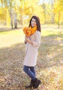 Beautiful smiling woman with yellow maple leafs in autumn Royalty Free Stock Photo