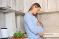Beautiful smiling young pregnant woman at home kitchen Royalty Free Stock Photo