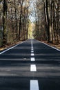 Beautiful, smooth and asphalt road with markings in the forest. Royalty Free Stock Photo